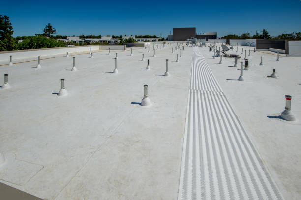 Best Roof Maintenance and Cleaning  in Hobart, IN